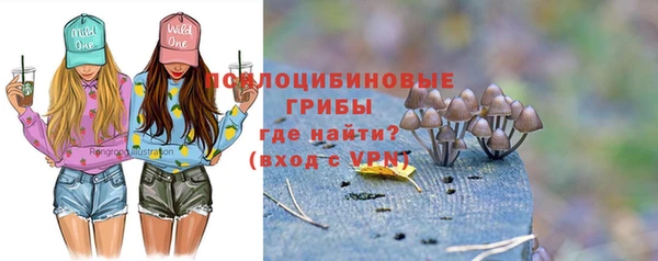 прущие грибы Сосновый Бор