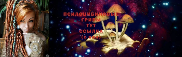 spice Сосновка
