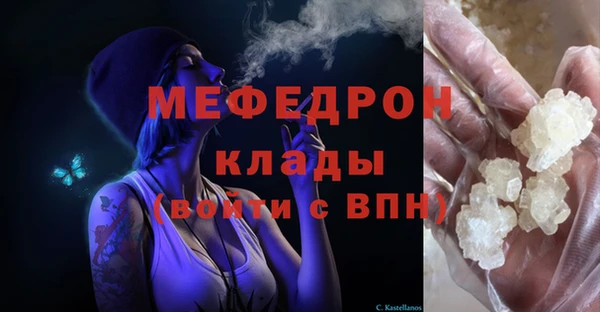 прущие грибы Сосновый Бор