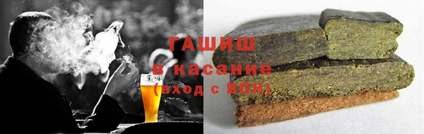 прущие грибы Сосновый Бор