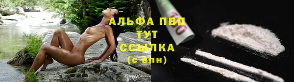 spice Сосновка