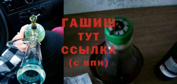 прущие грибы Сосновый Бор