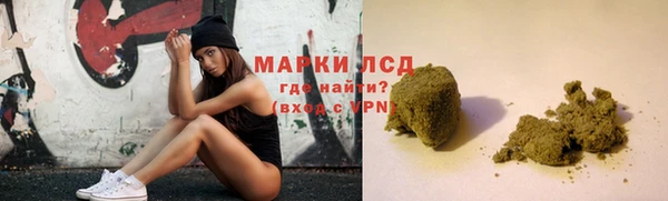 прущие грибы Сосновый Бор