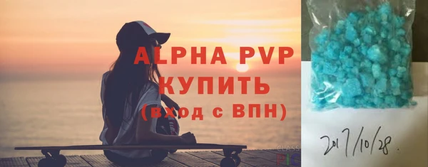 прущие грибы Сосновый Бор