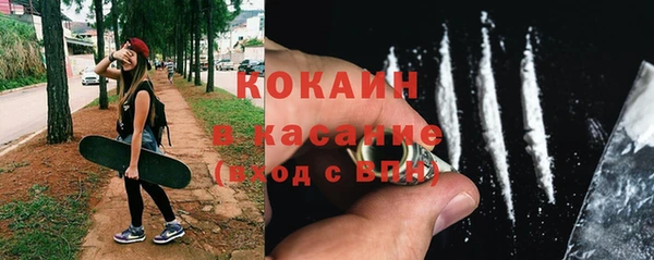 прущие грибы Сосновый Бор