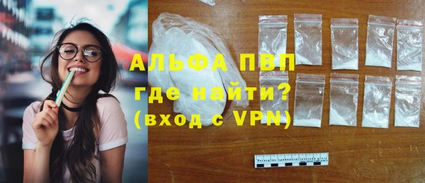 прущие грибы Сосновый Бор
