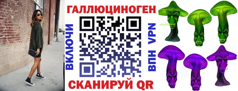 Псилоцибиновые грибы Psilocybine cubensis  Чекалин 